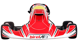 S16 KZ Birel